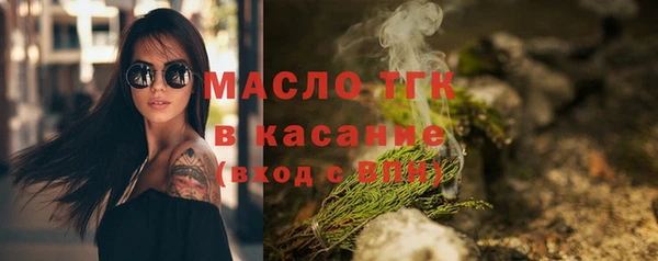индика Михайлов