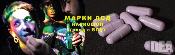 индика Михайлов