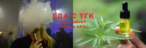 индика Михайлов
