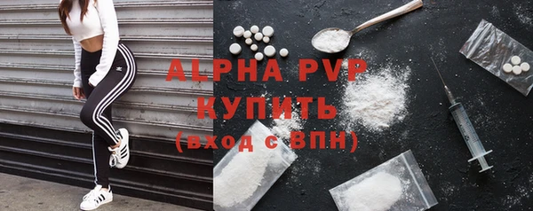 индика Михайлов