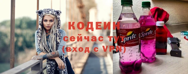 индика Михайлов