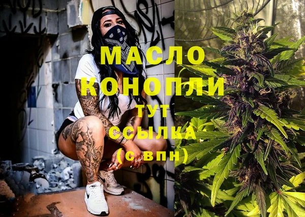 индика Михайлов